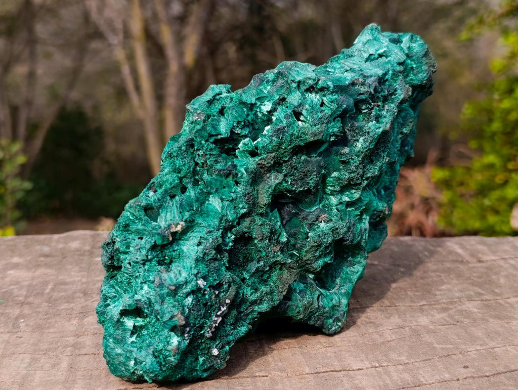 Natural Large Silky Malachite Specimen x 1 From Kasompe, Congo