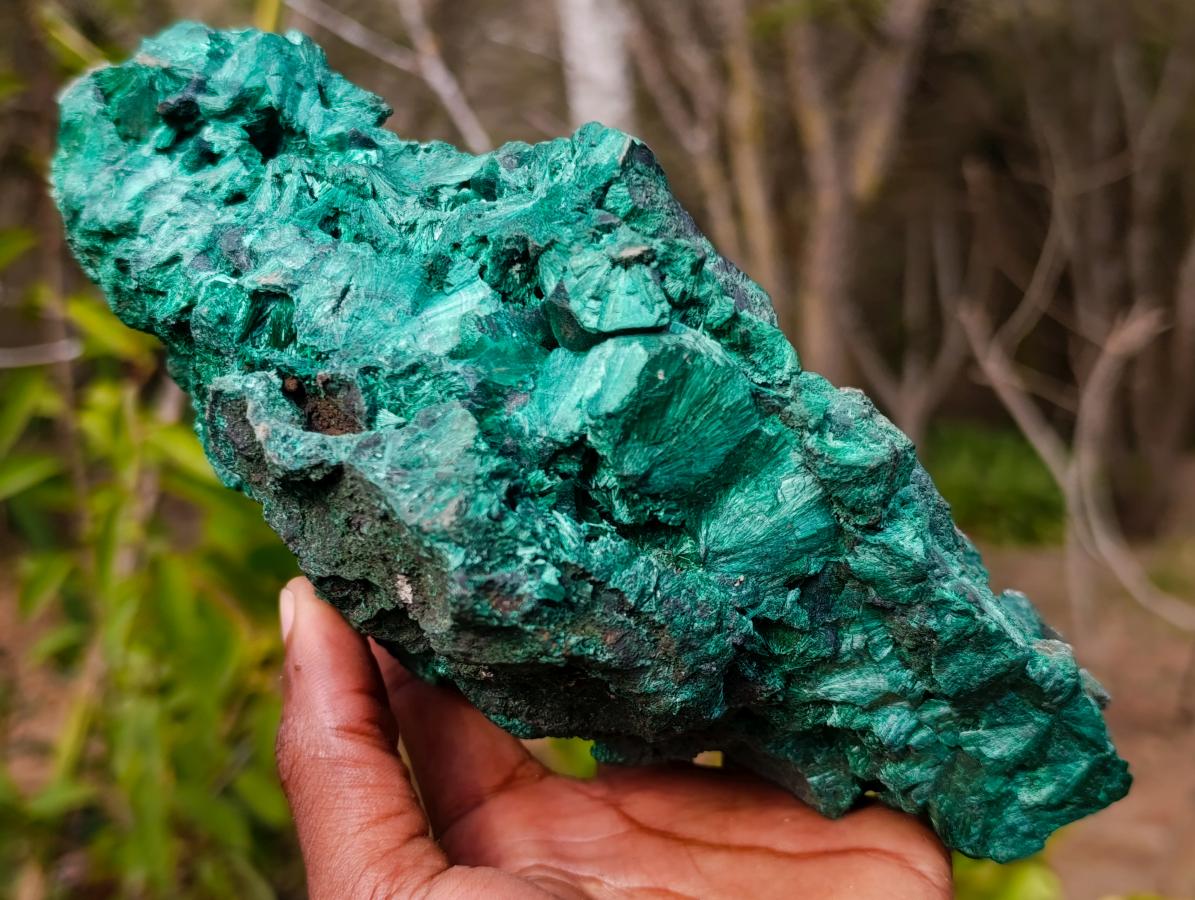 Natural Large Silky Malachite Specimen x 1 From Kasompe, Congo
