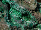 Natural Large Silky Malachite Specimen x 1 From Kasompe, Congo