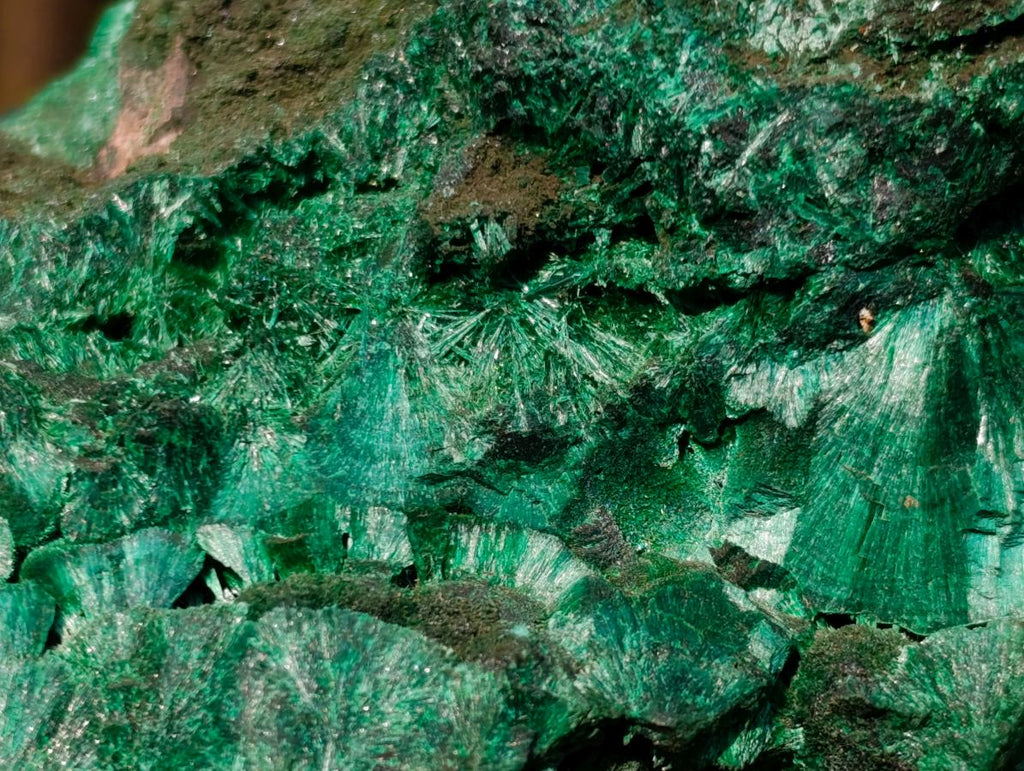 Natural Large Silky Malachite Specimen x 1 From Kasompe, Congo