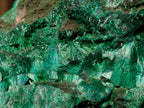 Natural Large Silky Malachite Specimen x 1 From Kasompe, Congo