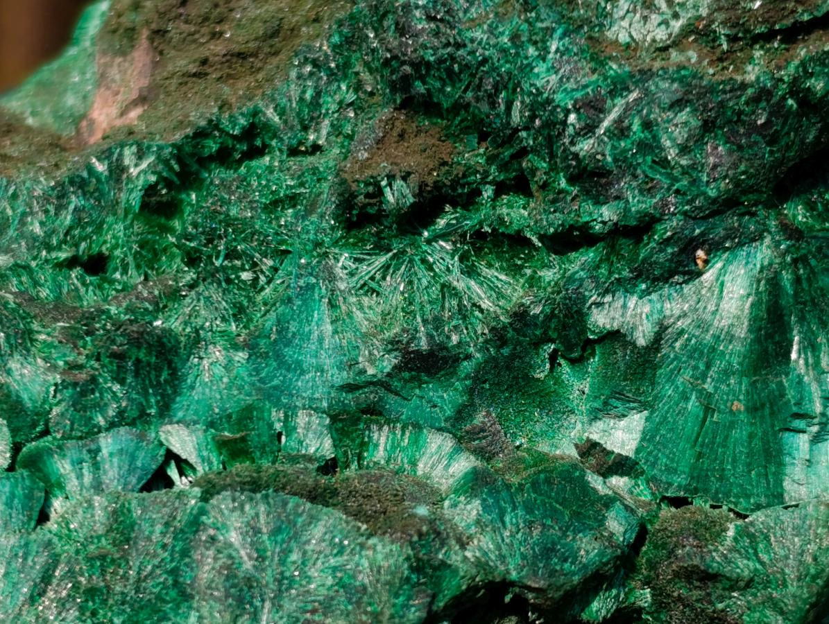 Natural Large Silky Malachite Specimen x 1 From Kasompe, Congo