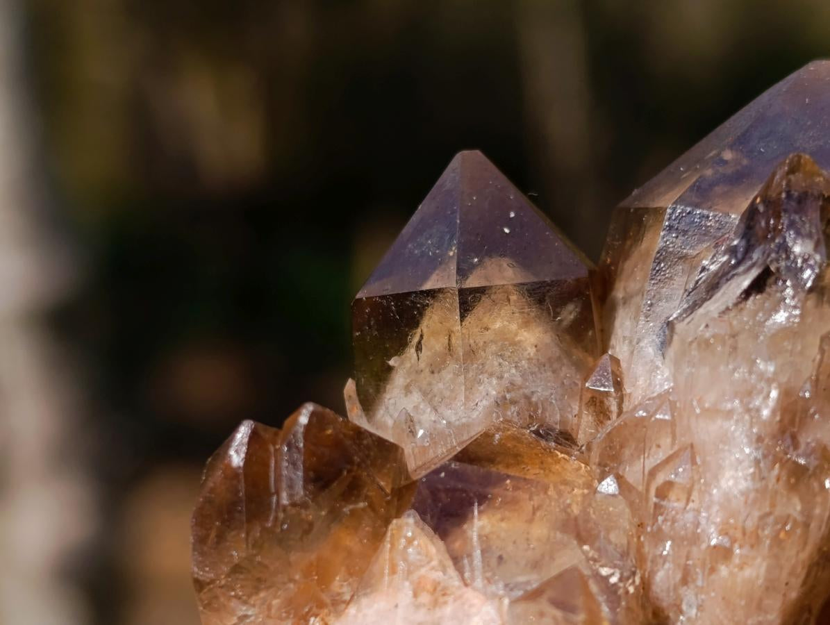 Polished and Natural Mix Set of 12 Minerals and Crystals in a Wooden Display Box x 1 From Southern Africa