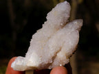 Polished and Natural Mix Set of 12 Minerals and Crystals in a Wooden Display Box x 1 From Southern Africa
