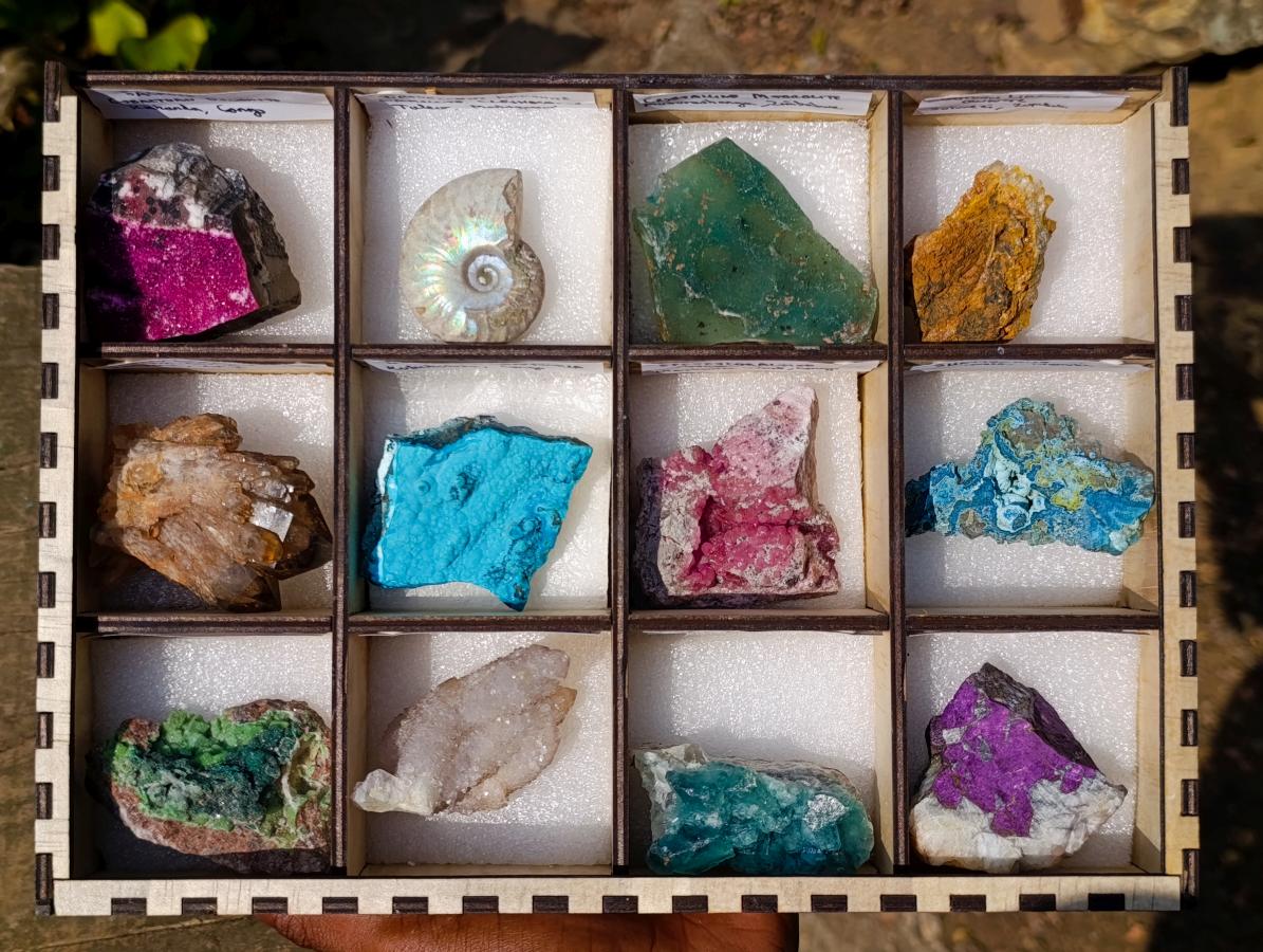 Polished and Natural Mix Set of 12 Minerals and Crystals in a Wooden Display Box x 1 From Southern Africa