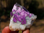 Polished and Natural Mix Set of 12 Minerals and Crystals in a Wooden Display Box x 1 From Southern Africa
