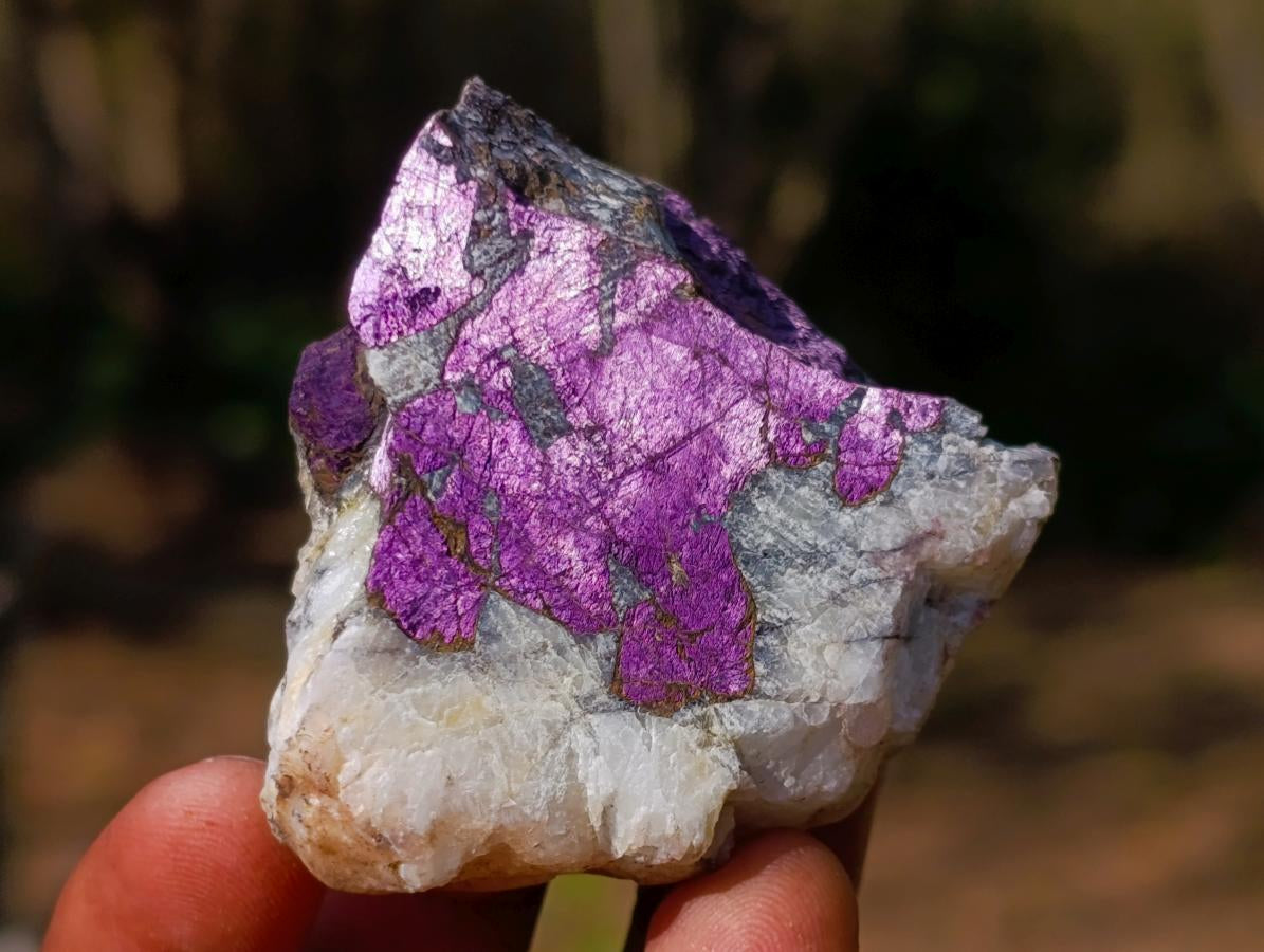 Polished and Natural Mix Set of 12 Minerals and Crystals in a Wooden Display Box x 1 From Southern Africa