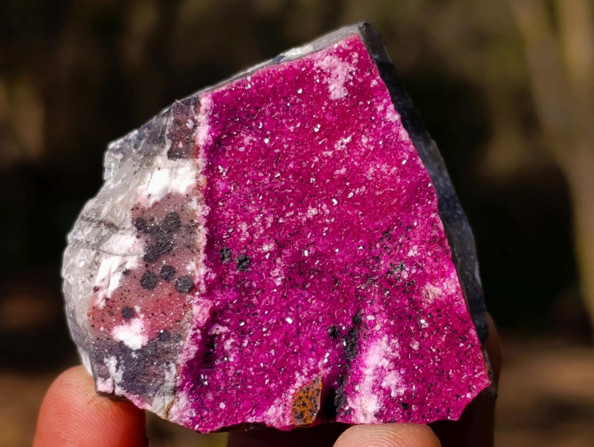 Polished and Natural Mix Set of 12 Minerals and Crystals in a Wooden Display Box x 1 From Southern Africa