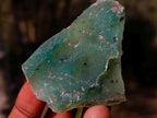 Polished and Natural Mix Set of 12 Minerals and Crystals in a Wooden Display Box x 1 From Southern Africa