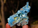Polished and Natural Mix Set of 12 Minerals and Crystals in a Wooden Display Box x 1 From Southern Africa