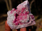Polished and Natural Mix Set of 12 Minerals and Crystals in a Wooden Display Box x 1 From Southern Africa