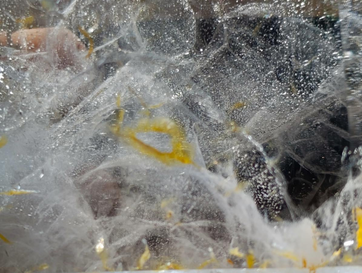 Polished Clear Quartz Crystal with Smokey Phantom x 1 From Akansobe, Madagascar