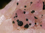 Natural Rare Rhodocalcite Specimen x 1 From Mashamba West Mine, Congo