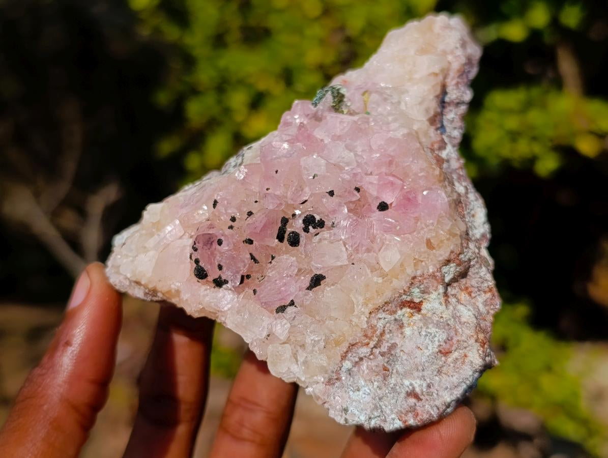 Natural Rare Rhodocalcite Specimen x 1 From Mashamba West Mine, Congo