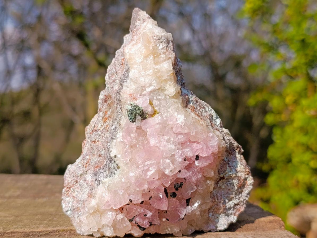 Natural Rare Rhodocalcite Specimen x 1 From Mashamba West Mine, Congo