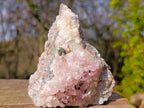 Natural Rare Rhodocalcite Specimen x 1 From Mashamba West Mine, Congo