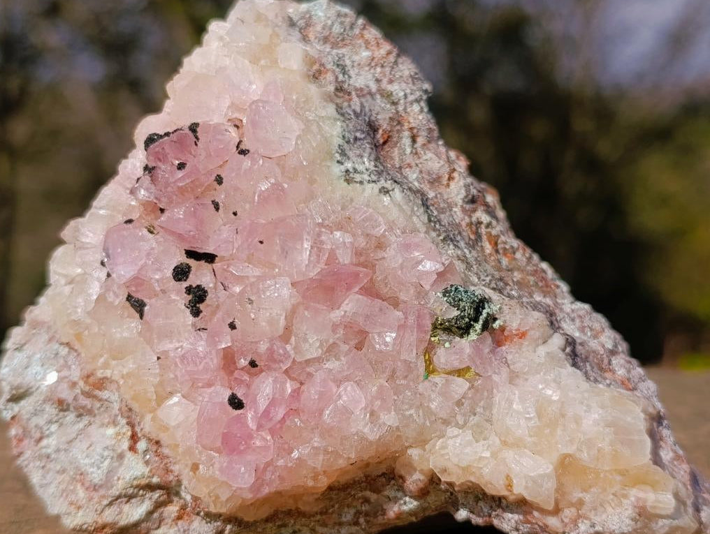 Natural Rare Rhodocalcite Specimen x 1 From Mashamba West Mine, Congo