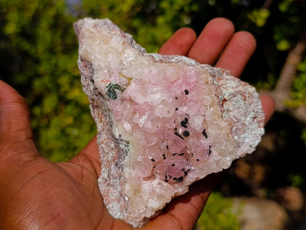 Natural Rare Rhodocalcite Specimen x 1 From Mashamba West Mine, Congo