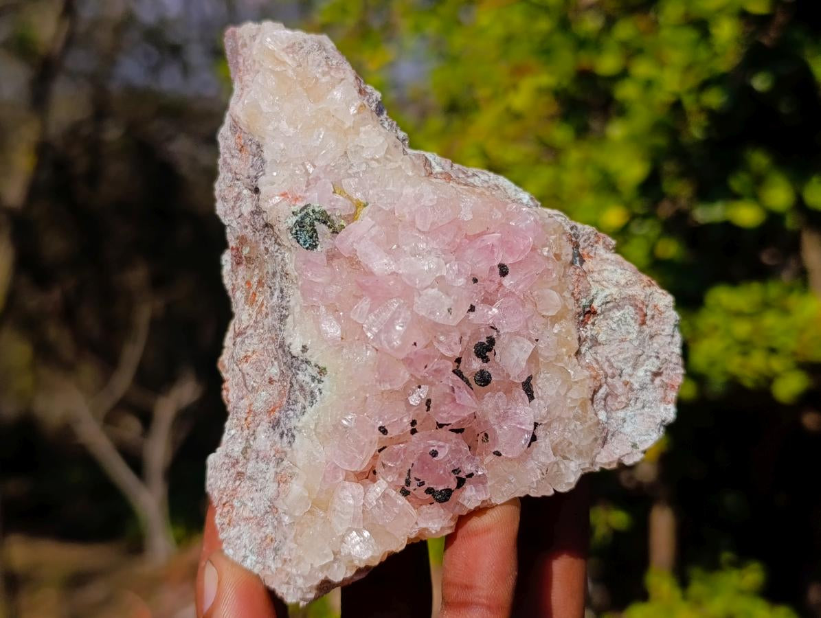 Natural Rare Rhodocalcite Specimen x 1 From Mashamba West Mine, Congo