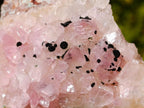 Natural Rare Rhodocalcite Specimen x 1 From Mashamba West Mine, Congo