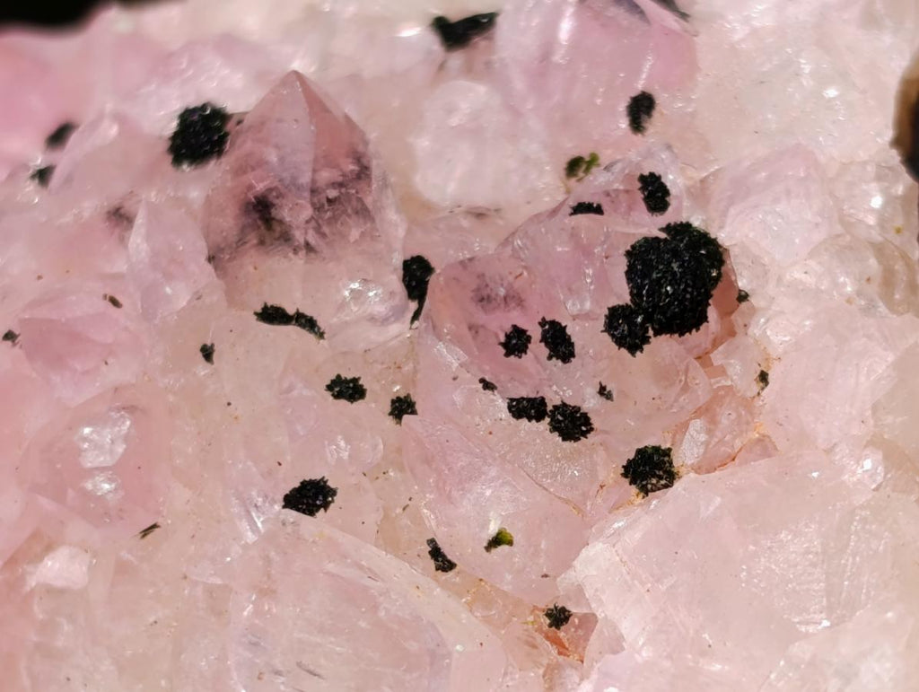 Natural Rare Rhodocalcite Specimen x 1 From Mashamba West Mine, Congo