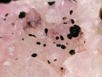 Natural Rare Rhodocalcite Specimen x 1 From Mashamba West Mine, Congo