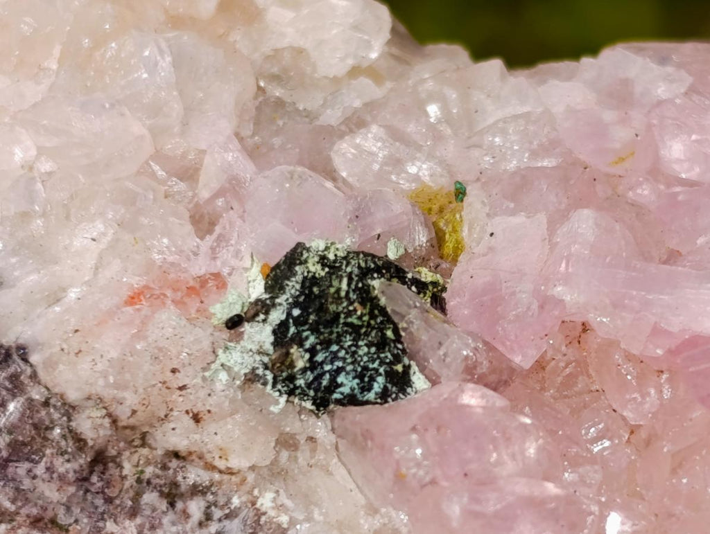 Natural Rare Rhodocalcite Specimen x 1 From Mashamba West Mine, Congo