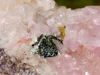 Natural Rare Rhodocalcite Specimen x 1 From Mashamba West Mine, Congo