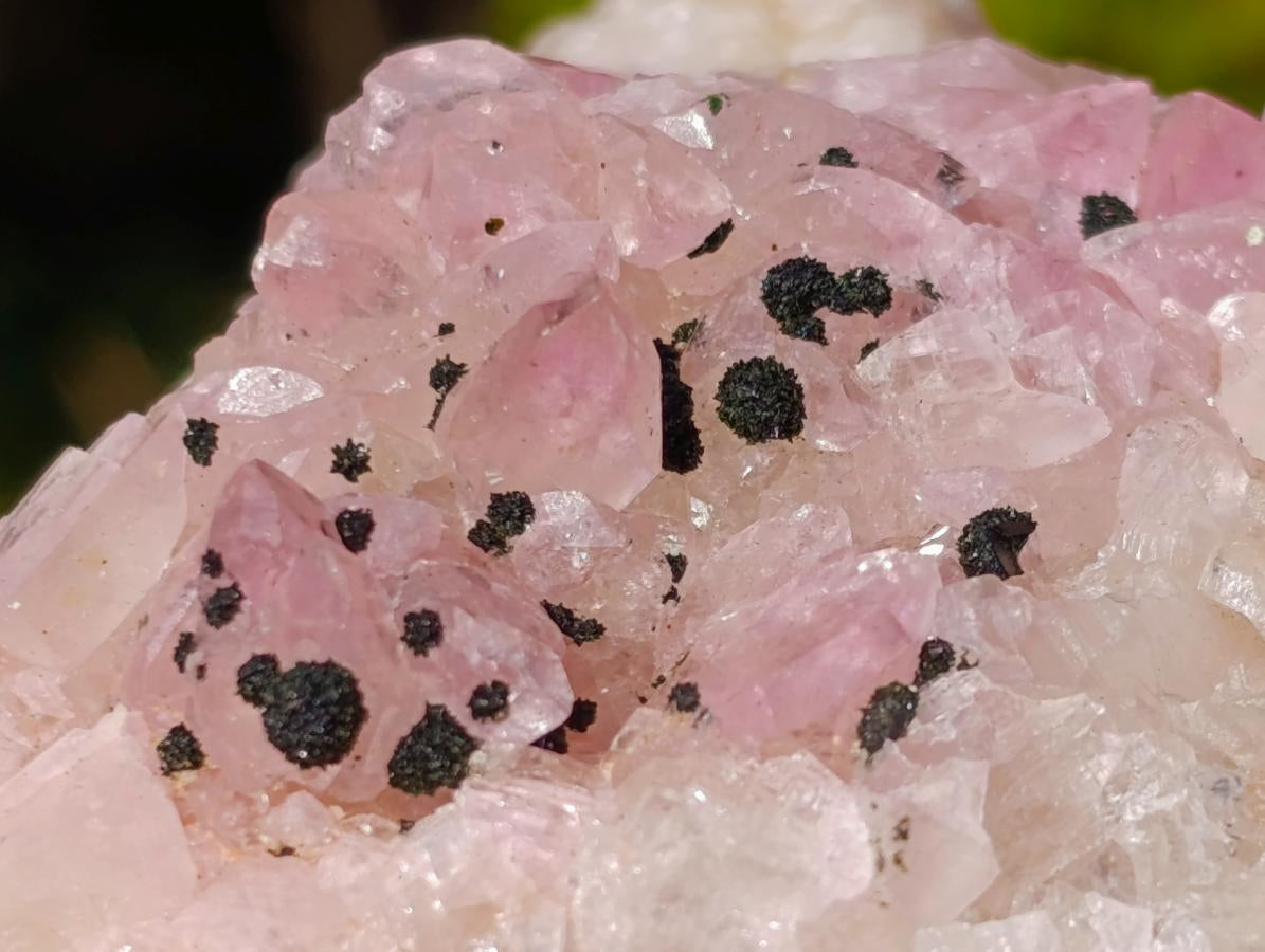 Natural Rare Rhodocalcite Specimen x 1 From Mashamba West Mine, Congo