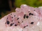 Natural Rare Rhodocalcite Specimen x 1 From Mashamba West Mine, Congo