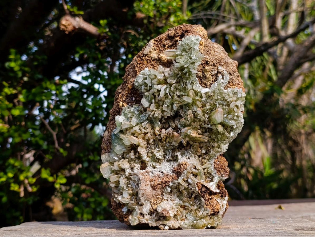 Natural XL Exquisite Barite Specimen x 1 From Shinkolobwe mine, Congo