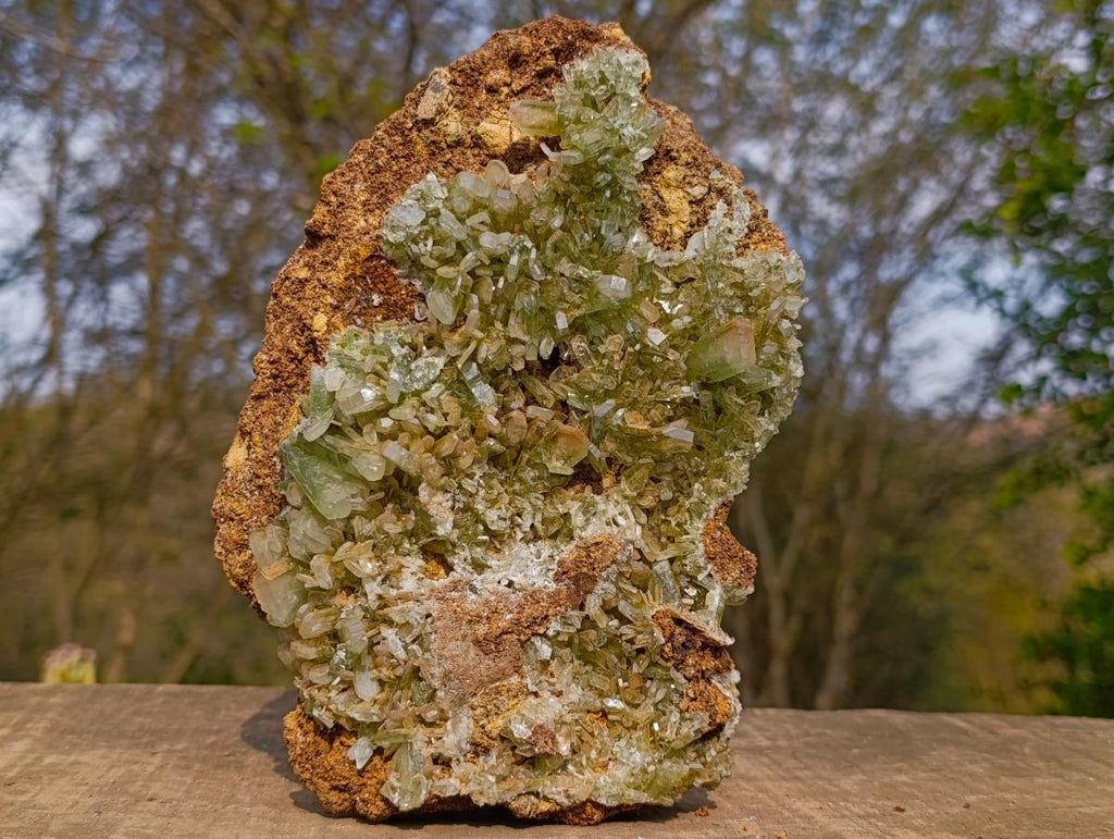Natural XL Exquisite Barite Specimen x 1 From Shinkolobwe mine, Congo
