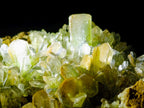Natural XL Exquisite Barite Specimen x 1 From Shinkolobwe mine, Congo