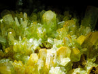 Natural XL Exquisite Barite Specimen x 1 From Shinkolobwe mine, Congo