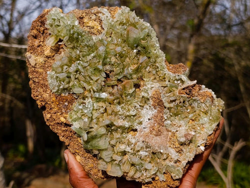 Natural XL Exquisite Barite Specimen x 1 From Shinkolobwe mine, Congo