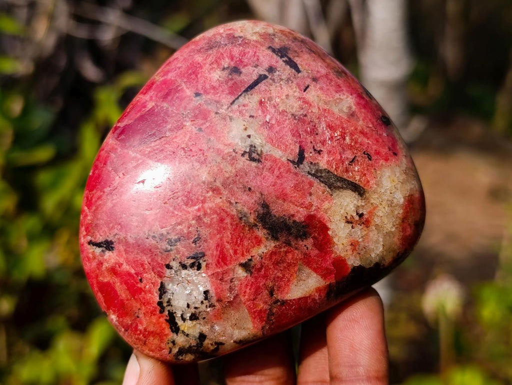Polished Rare Rhodesian Rhodonite Free Form x 1 From Zimbabwe