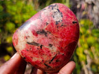 Polished Rare Rhodesian Rhodonite Free Form x 1 From Zimbabwe