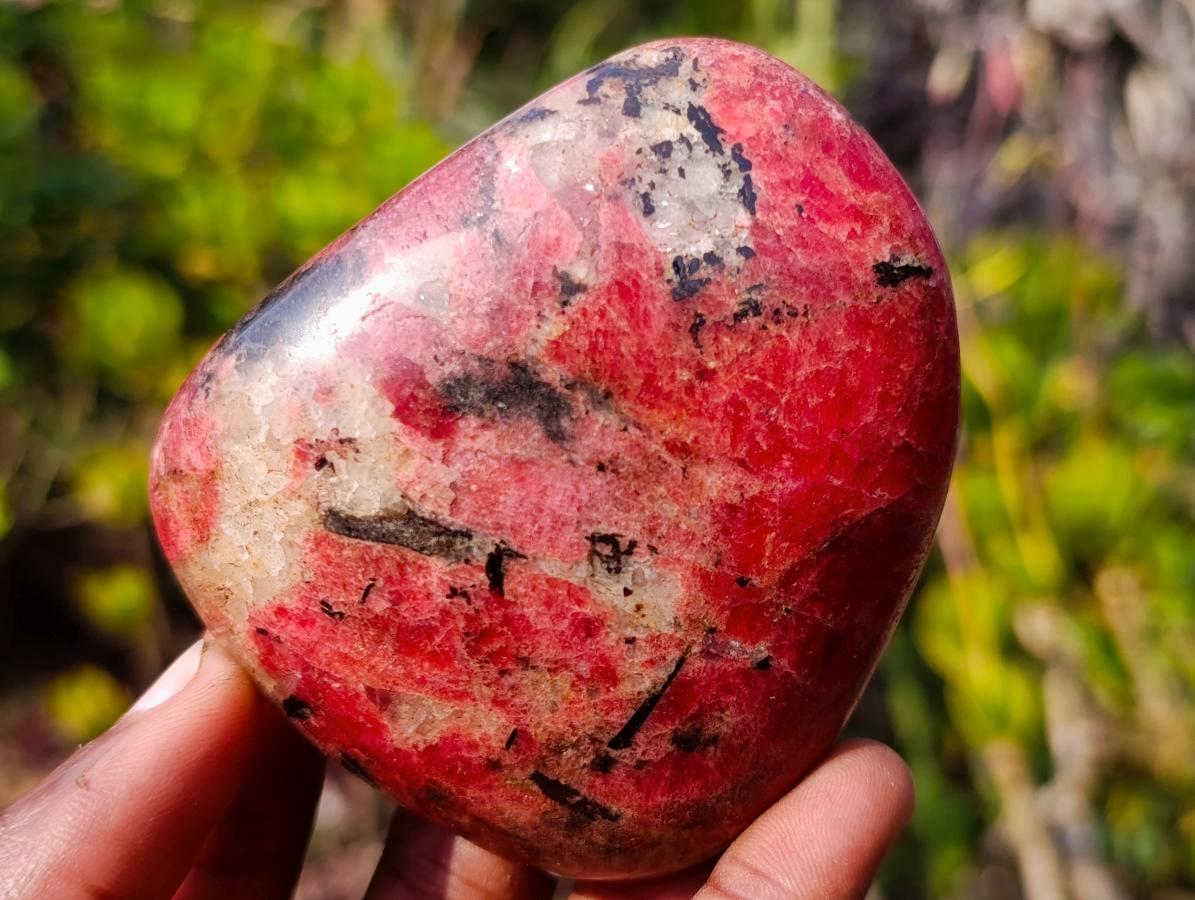 Polished Rare Rhodesian Rhodonite Free Form x 1 From Zimbabwe