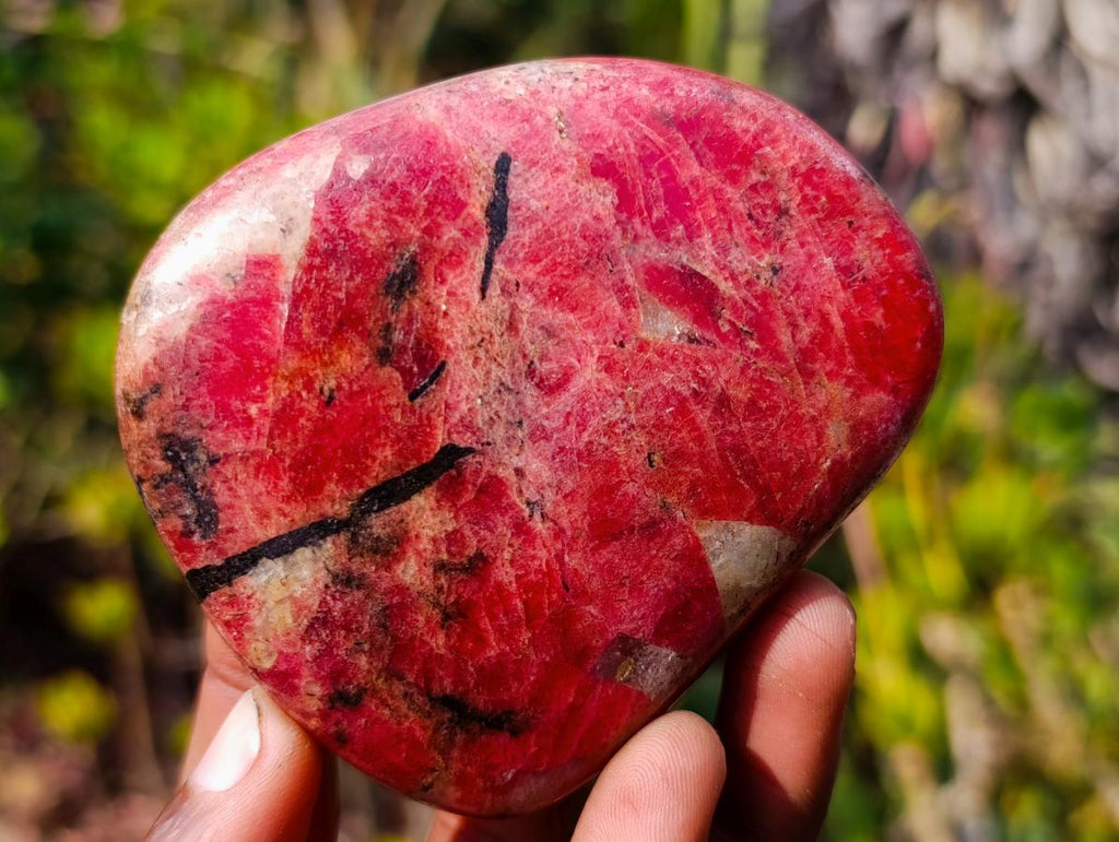 Polished Rare Rhodesian Rhodonite Free Form x 1 From Zimbabwe