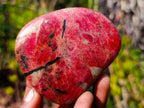 Polished Rare Rhodesian Rhodonite Free Form x 1 From Zimbabwe