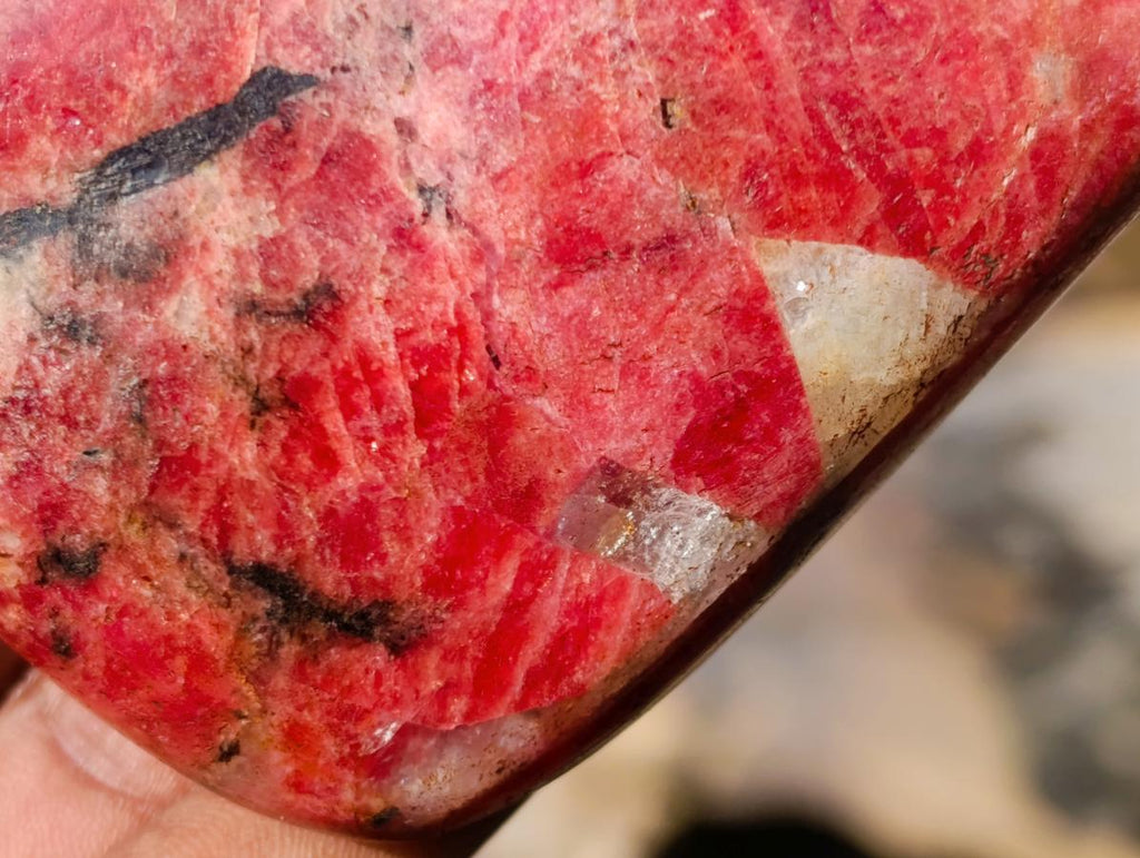 Polished Rare Rhodesian Rhodonite Free Form x 1 From Zimbabwe