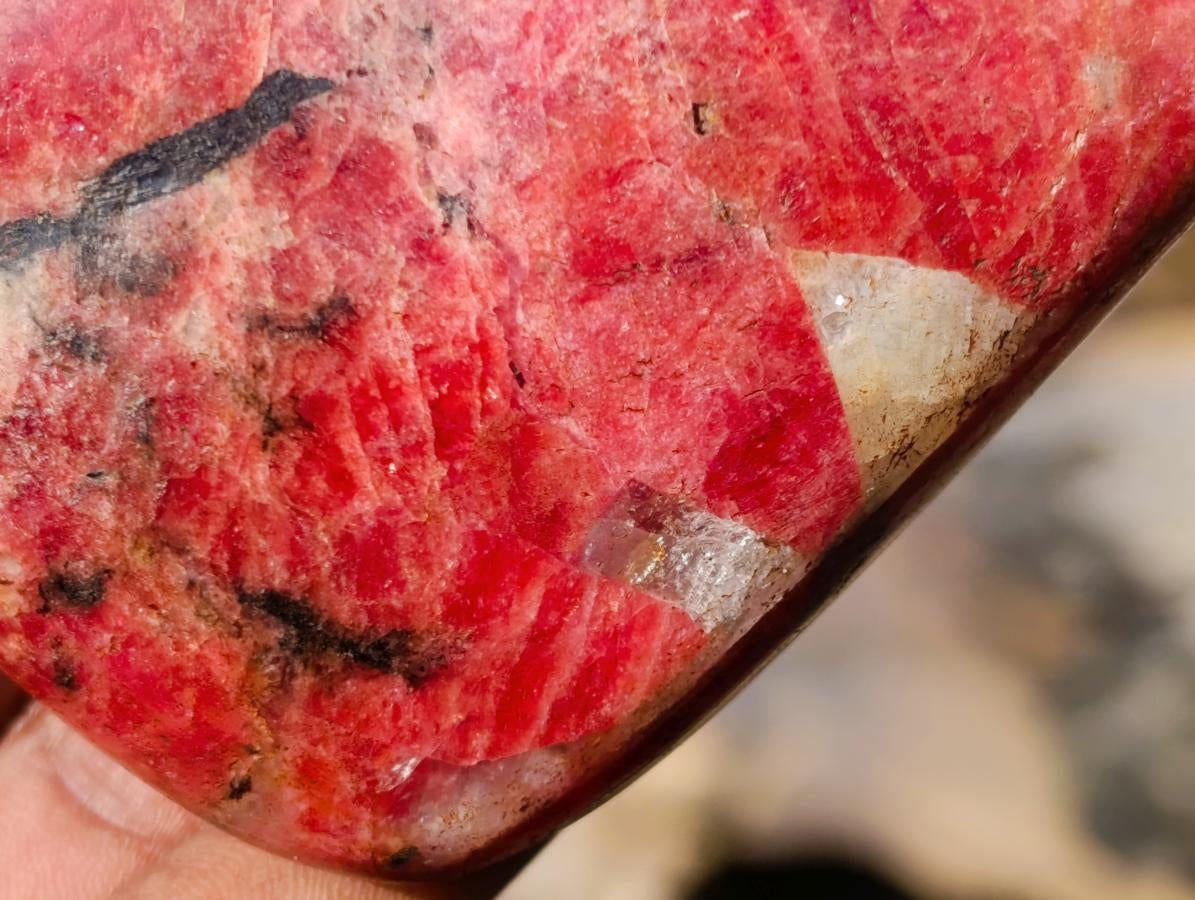 Polished Rare Rhodesian Rhodonite Free Form x 1 From Zimbabwe