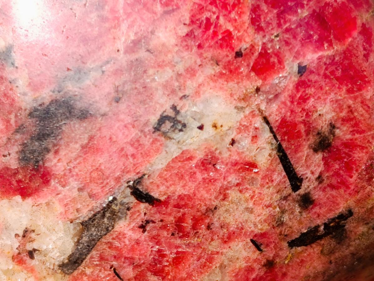 Polished Rare Rhodesian Rhodonite Free Form x 1 From Zimbabwe