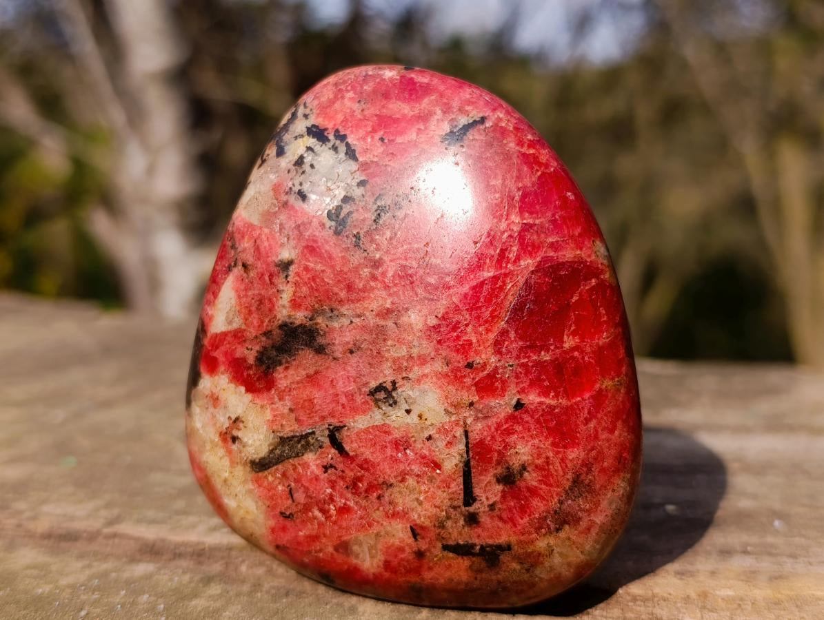 Polished Rare Rhodesian Rhodonite Free Form x 1 From Zimbabwe