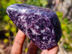 Polished Deep Purple Lepidolite Standing Display Piece x 1 From Madagascar