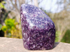 Polished Deep Purple Lepidolite Standing Display Piece x 1 From Madagascar
