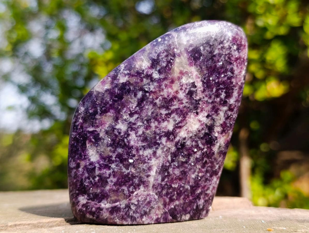 Polished Deep Purple Lepidolite Standing Display Piece x 1 From Madagascar