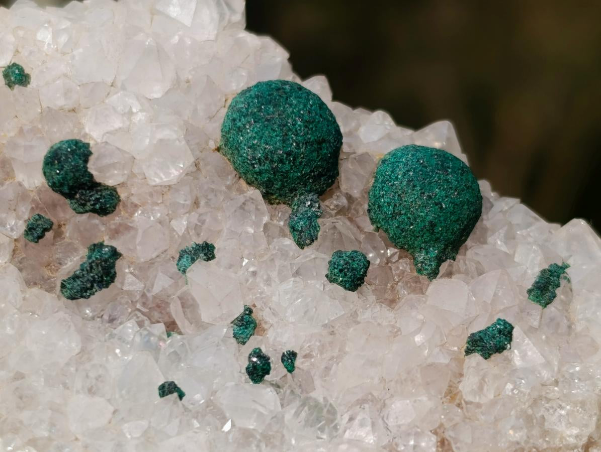Natural Ball Malachite Specimen on Dolomite Matrix x 1 From Kambove, Congo