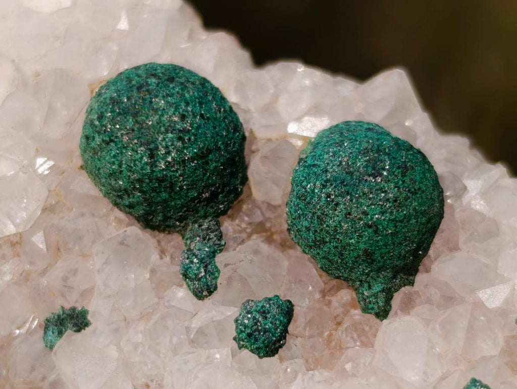 Natural Ball Malachite Specimen on Dolomite Matrix x 1 From Kambove, Congo