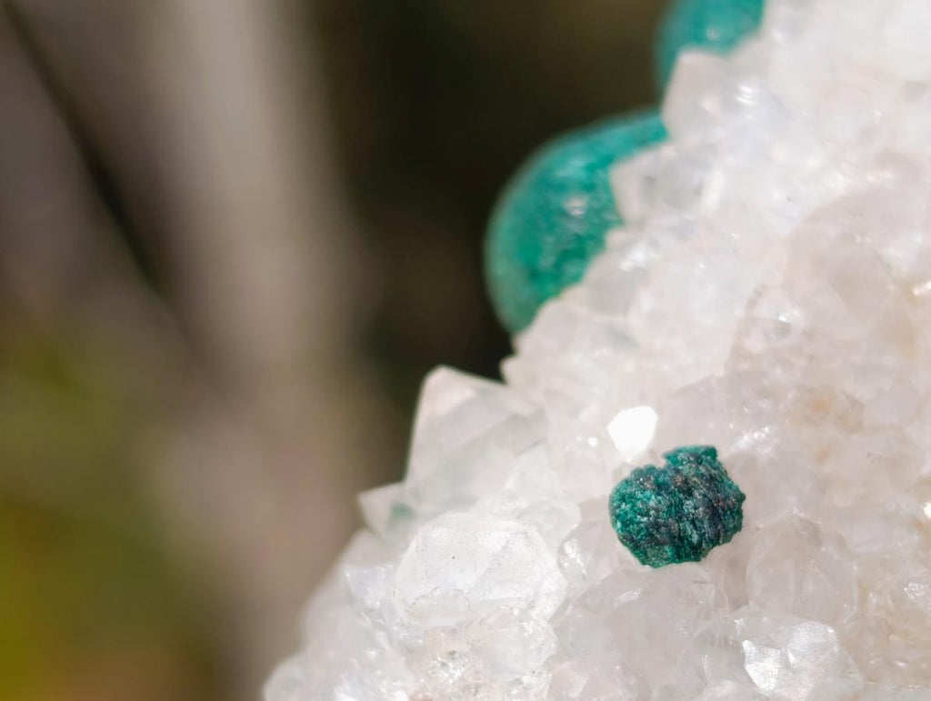 Natural Ball Malachite Specimen on Dolomite Matrix x 1 From Kambove, Congo